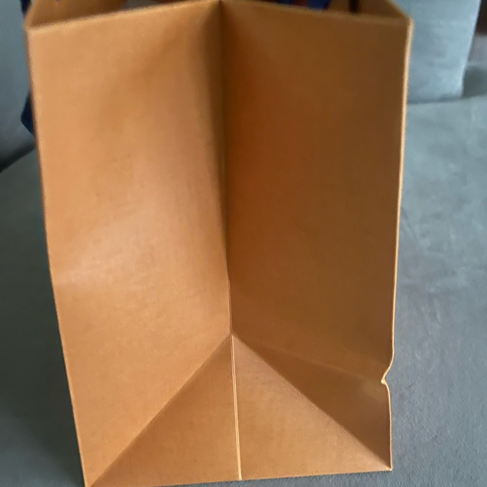 LOUIS VUITTON Empty Shopping Bag - Picture 7 of 7